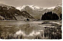 Lenkersee mit Wildstrubel 1951