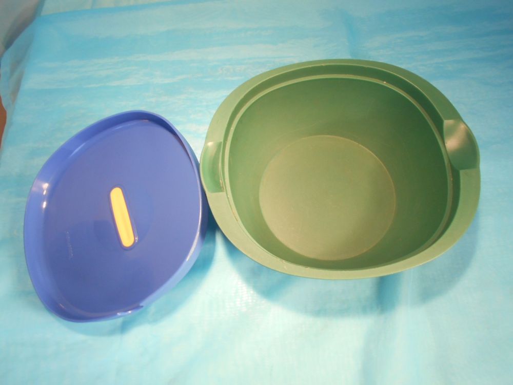 Tupperware Schüssel, grün mit blauem Deckel (Gebraucht) in Bellach für ...