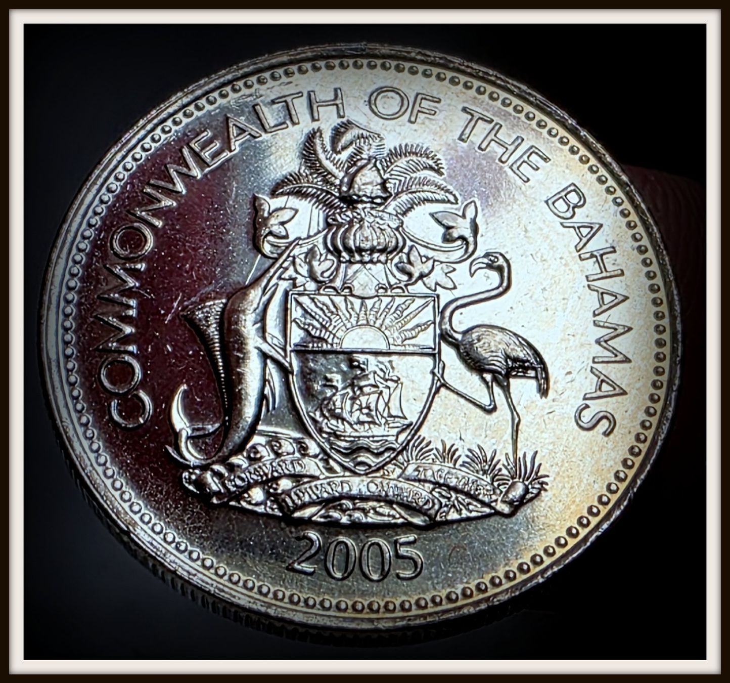 Tutti le monete: BAHAMAS 25 CENTS 2005 UNZ. – Nuovo (secondo la descrizione) da winterthur venduto da CoinPassion 1