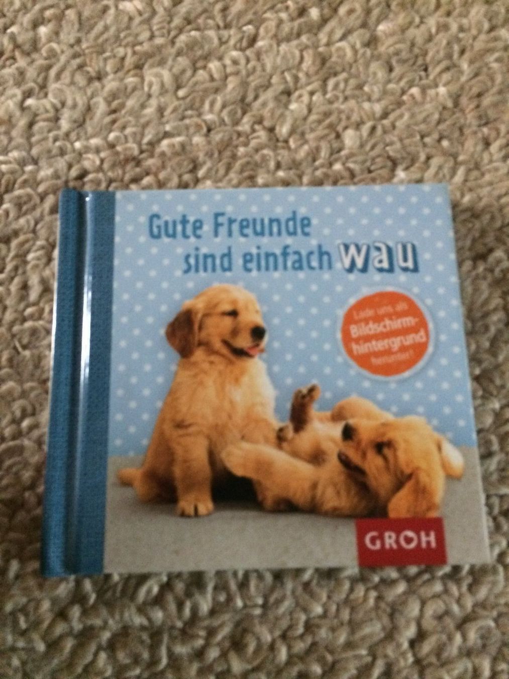 Libri: Gute Freunde sind einfach wau – Nuovo (secondo la descrizione) da Buchs AG venduto da ReaNaTsch