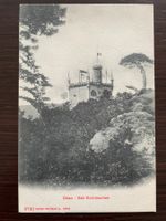 OLTEN Säli-Schlösschen / Sälischlössli, 1906