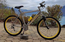 Mountainbike Switch Alupol