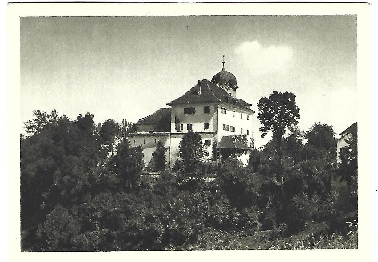 Cartes postales: Schloss Grüningen – D'occasion à Wetzikon ZH par Brulu100