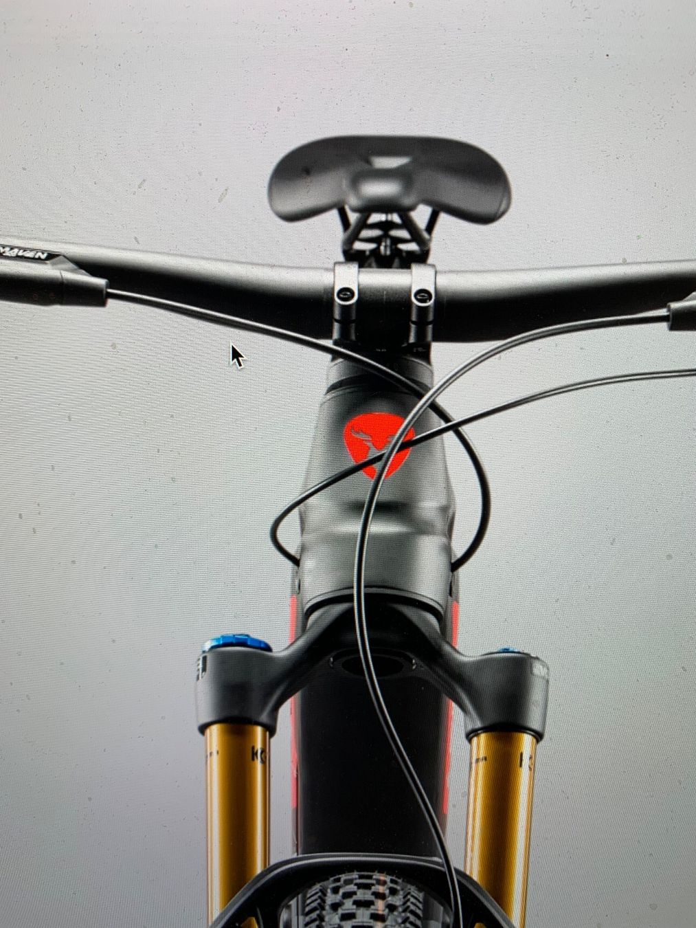 Rotwild Biciclette: Rotwild. REX900 Pro Gr. L – Nuovo e nell'imballaggio originale da Rudolfstetten venduto da medium02 1