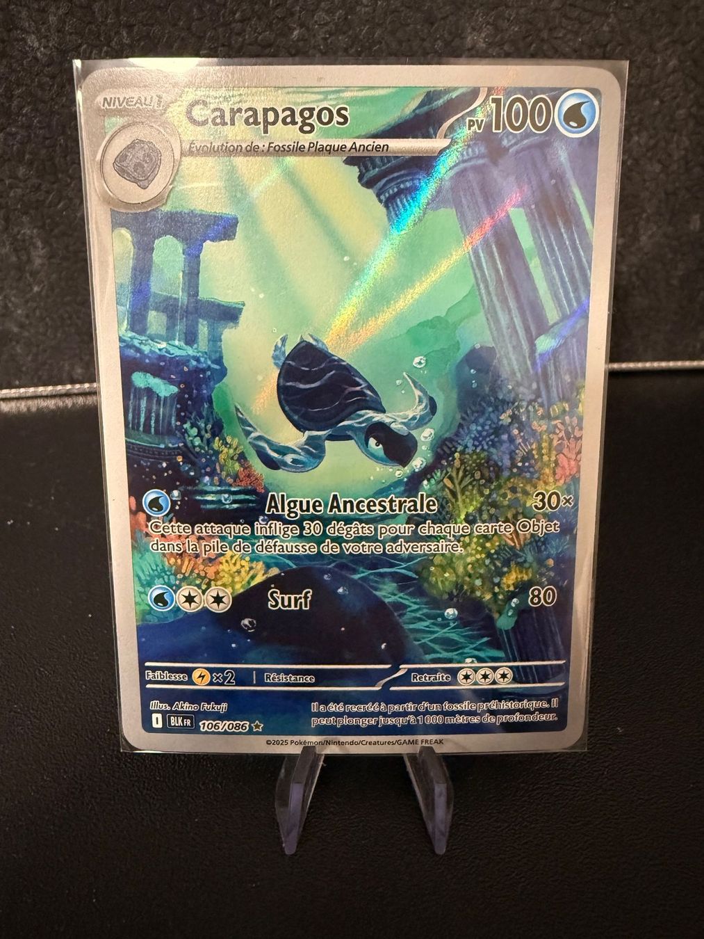 Pokémon Sammelbilder & Trading cards: BLK FR - Carapagos (106) – Gebraucht aus Misery von A10GunnerFan
