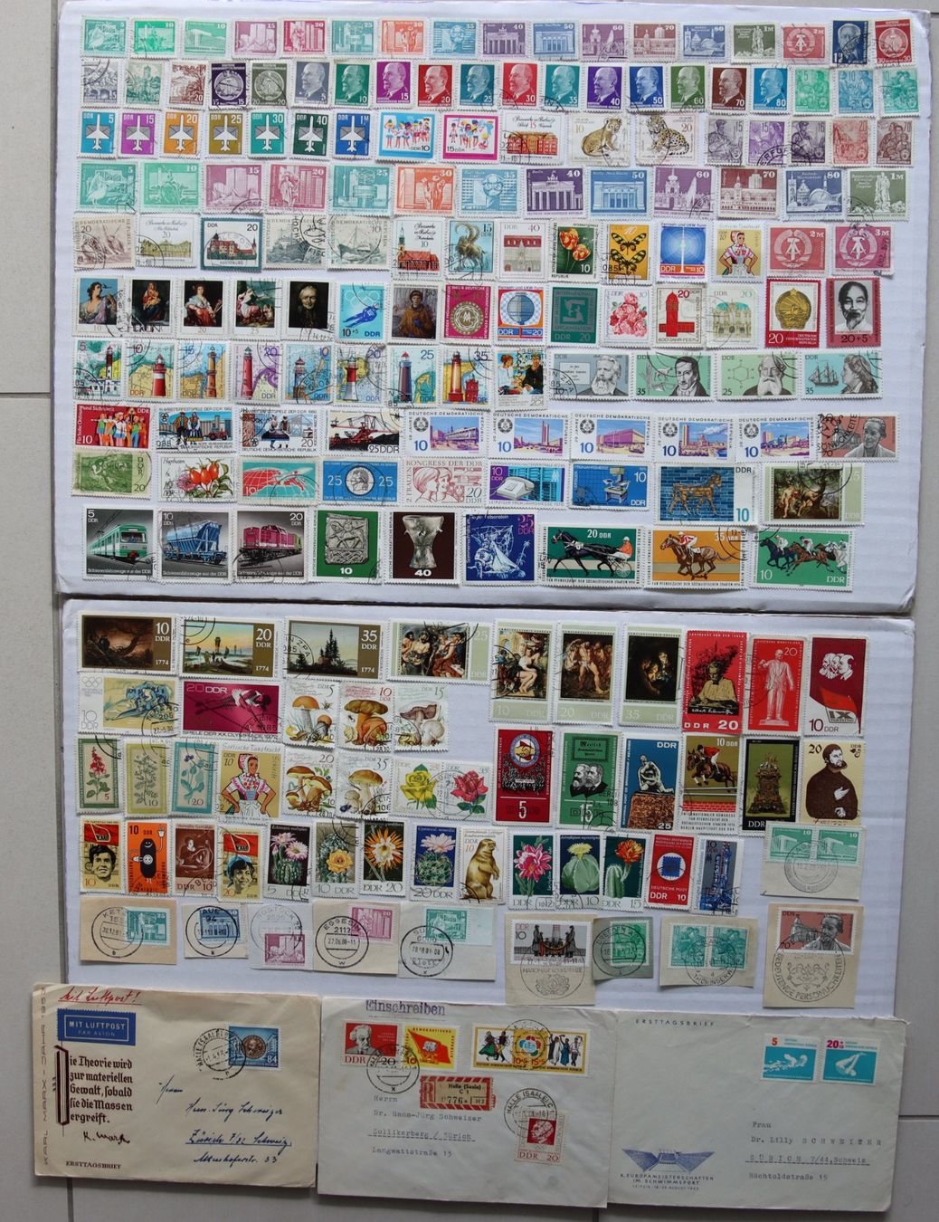 Tutti i francobolli: Briefmarken DDR – Usato da Oberentfelden venduto da lakipul