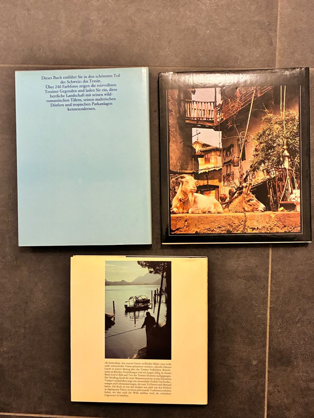 Libri: Tessin Bücher – Usato da Horw venduto da adler65 4