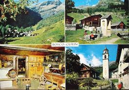 BOSCO GURIN