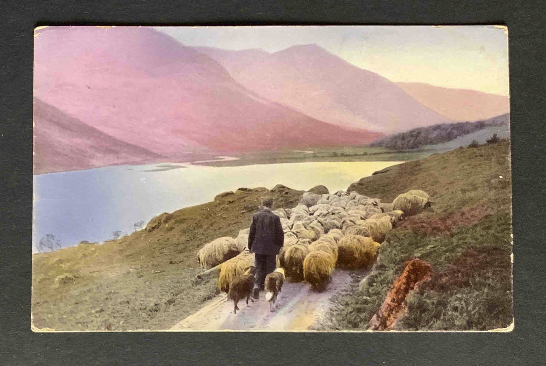 Cartes postales: AK Schafhirte mit Schafen – D'occasion à Goldau par artelier1