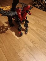 Königsdrache