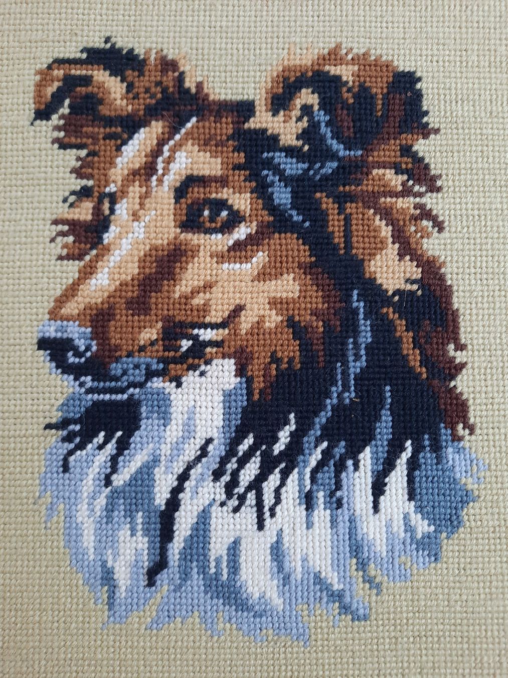 Posters & Illustrations: Gobelin Bild Collie – D'occasion à Nottwil par mar_jqm7 1