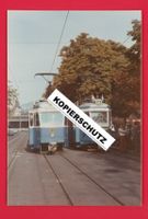 10. Photo VBZ Tams Betrieb : Zürich CH