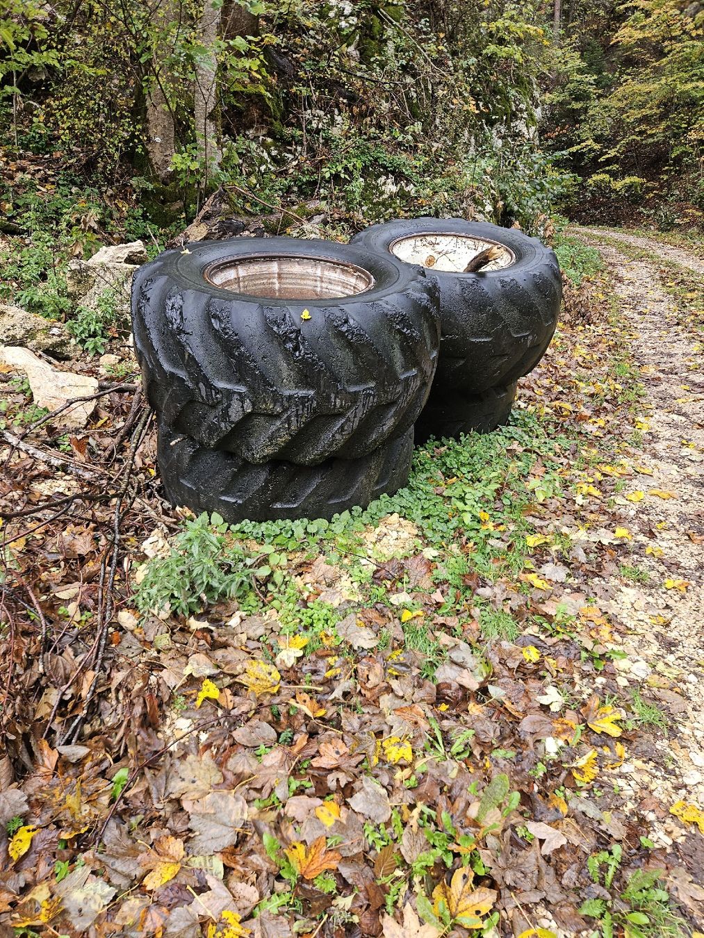 Pneus & Roues: forst pneu  – D'occasion à Seehof par Namor95 3