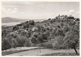 Kloster Berg Sion, Post Uetliburg, Gommiswald, ca. 1960