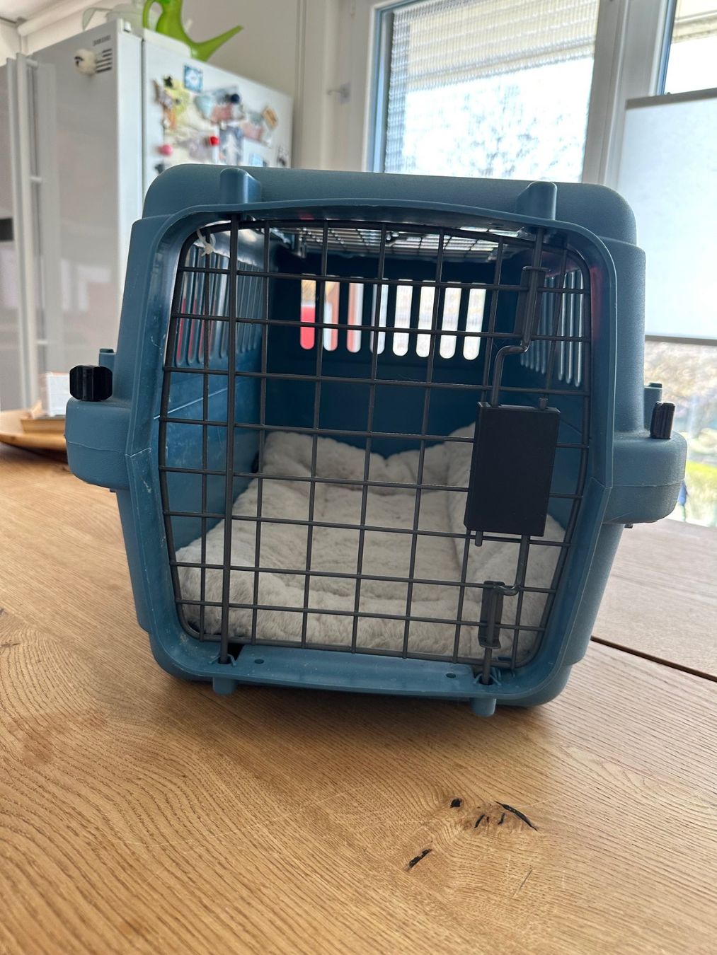 Cucce & Letti: Transportkorb für Katzen oder kleine Hunde – Usato da Hausen am Albis venduto da Snapoleon 1