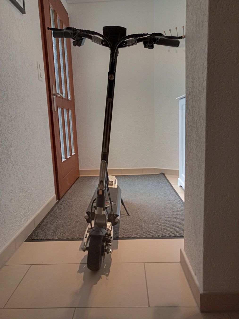 Voiturettes électriques: Mukuta 8 E-Scooter – D'occasion à Reigoldswil par 19carnage92