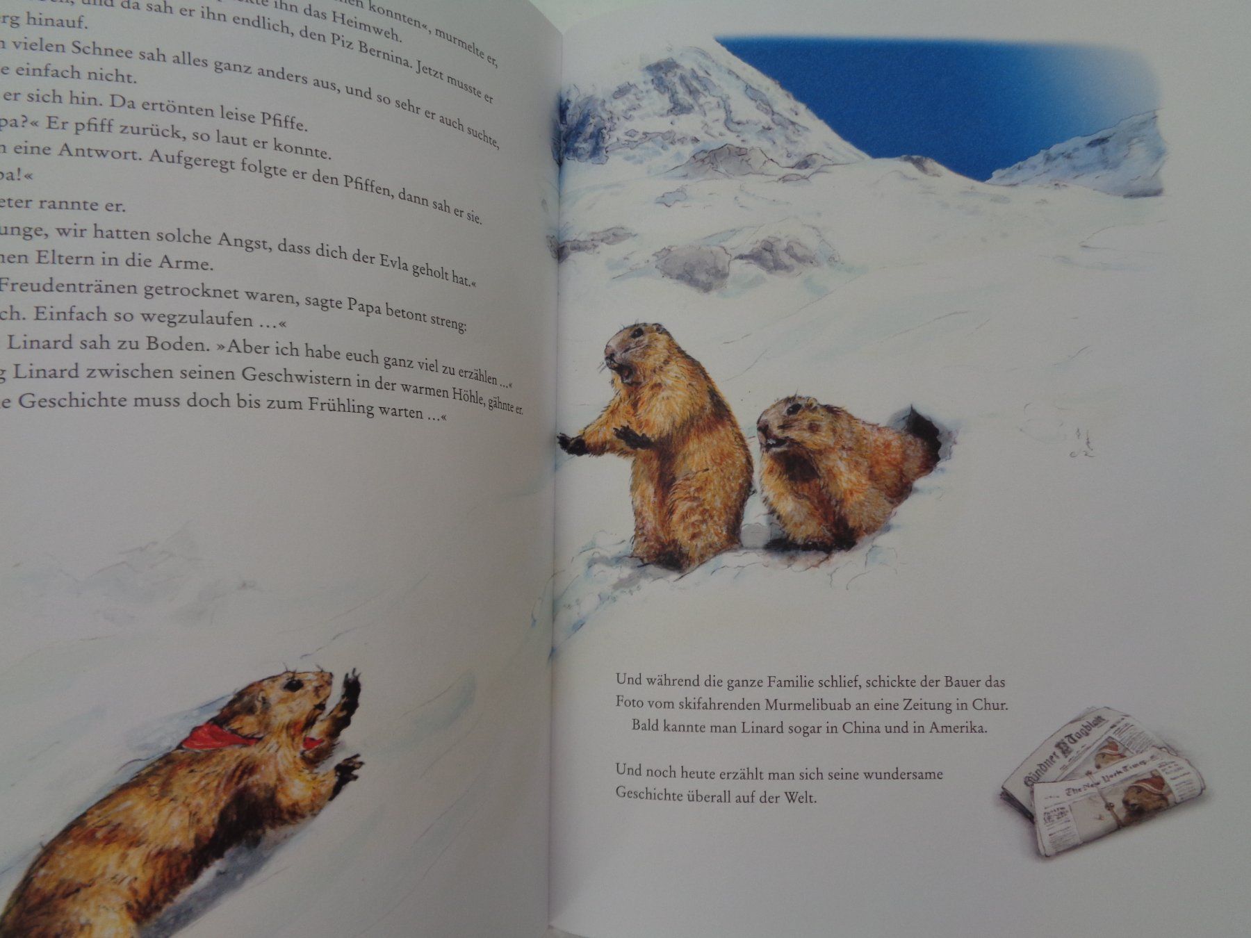 Libri: Linard der Murmelibuab - Philipp Gurt Alexander Rys – Usato da Chur venduto da Oregano1 2