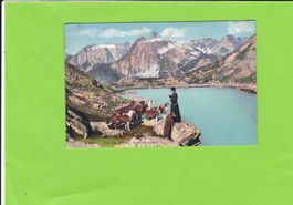 Lac du Grand St. Bernard-Chiens