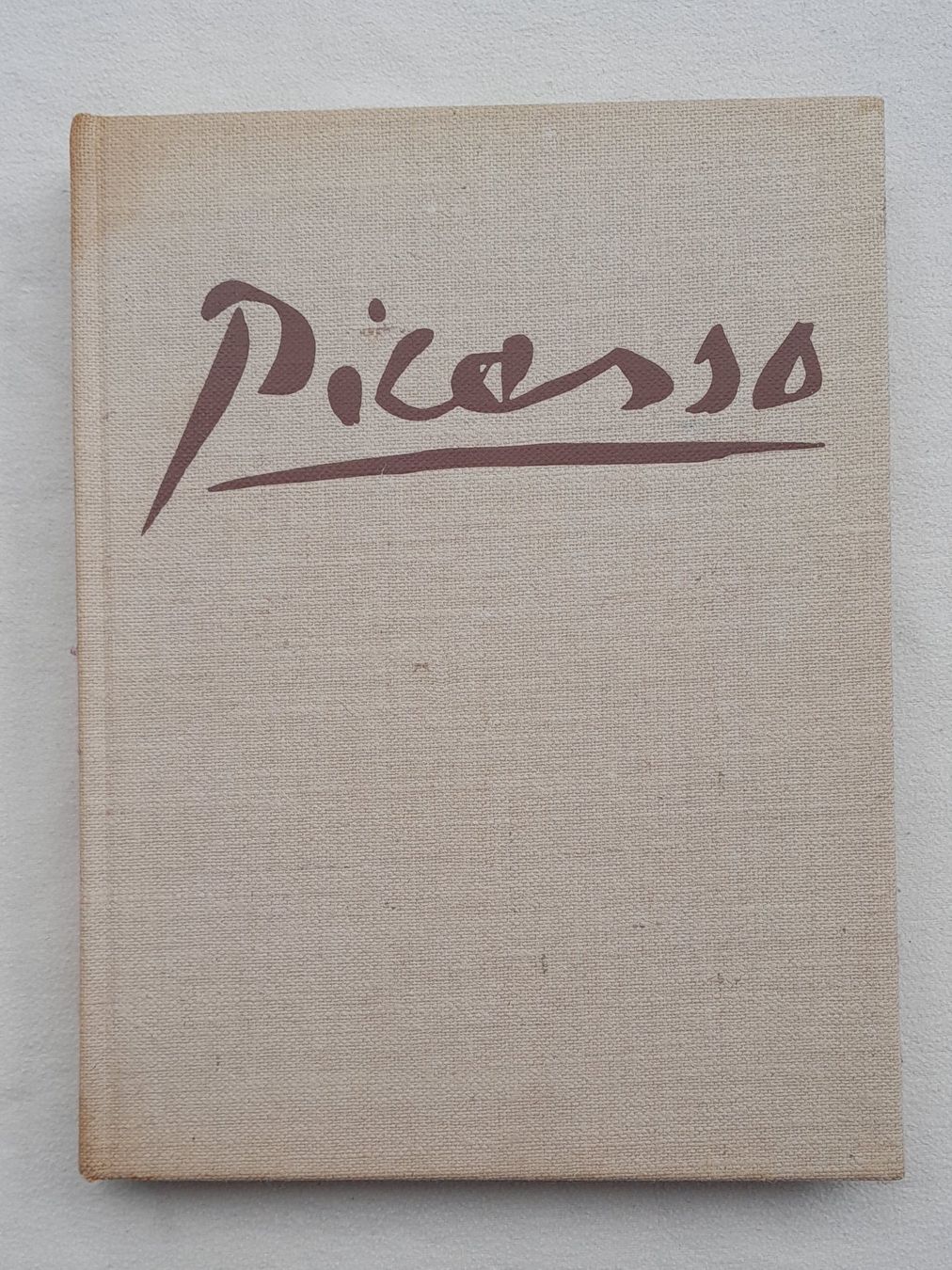 Libri: Picasso at 90 'The late work' – Usato da Samstagern venduto da Karibik64