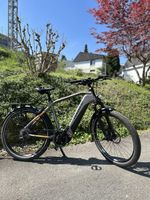 Haibike Trekking S 10 45 Km/h ab Service