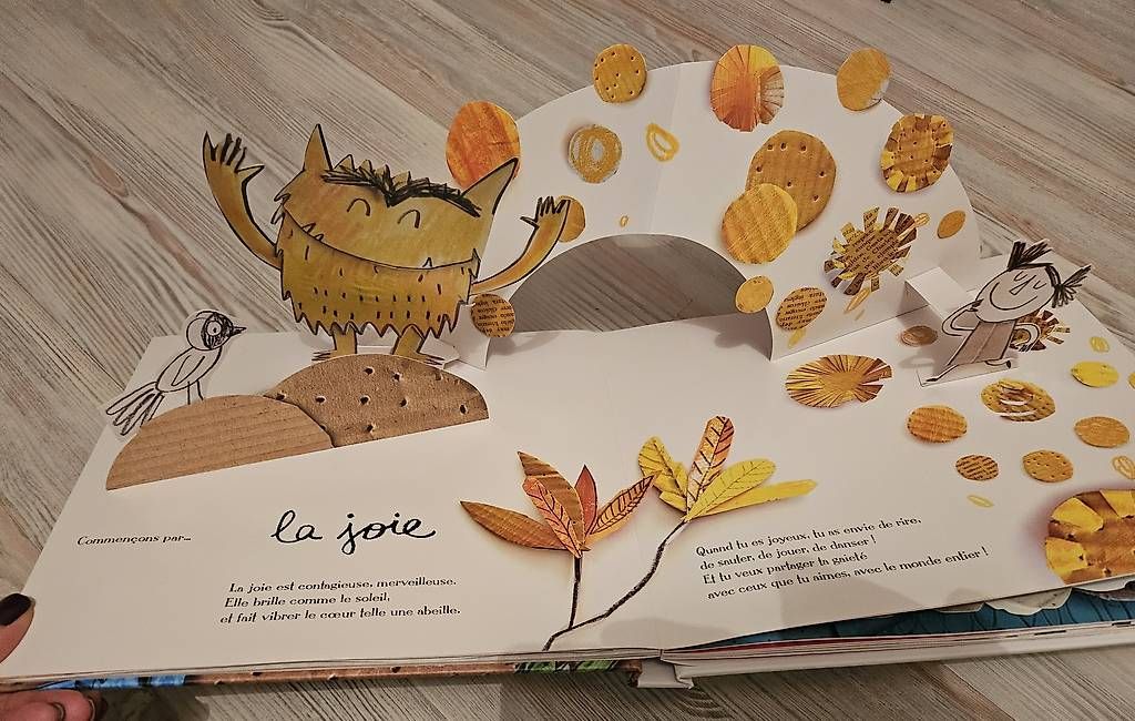 Libri: Livre couleurs des émotions – Usato da Fully venduto da cvivi75 3
