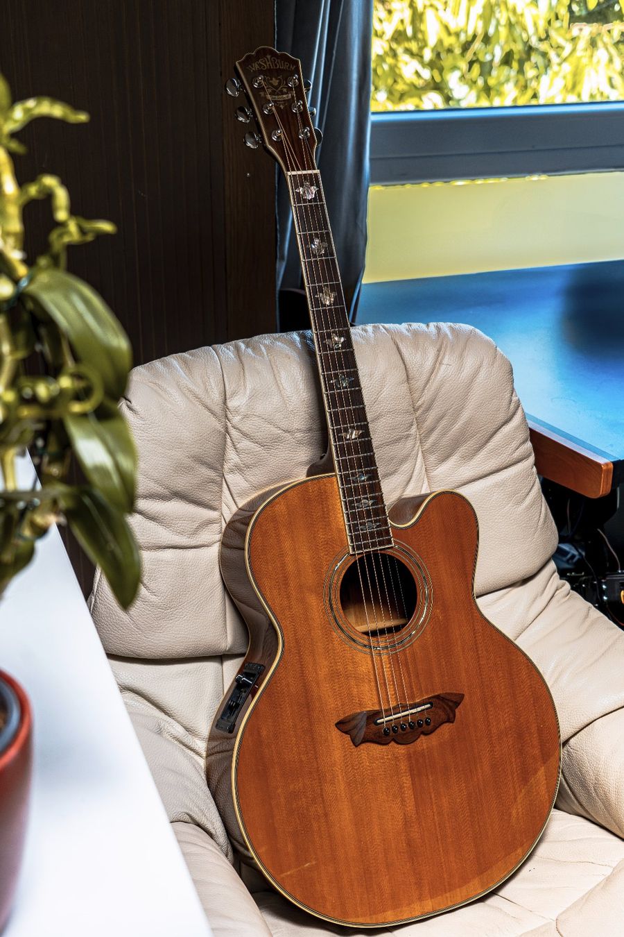 Washburn Strumenti musicali: Washburn Akustikgitarre – Usato da Unterseen venduto da powerpan