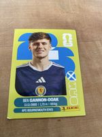 Panini Sco 20