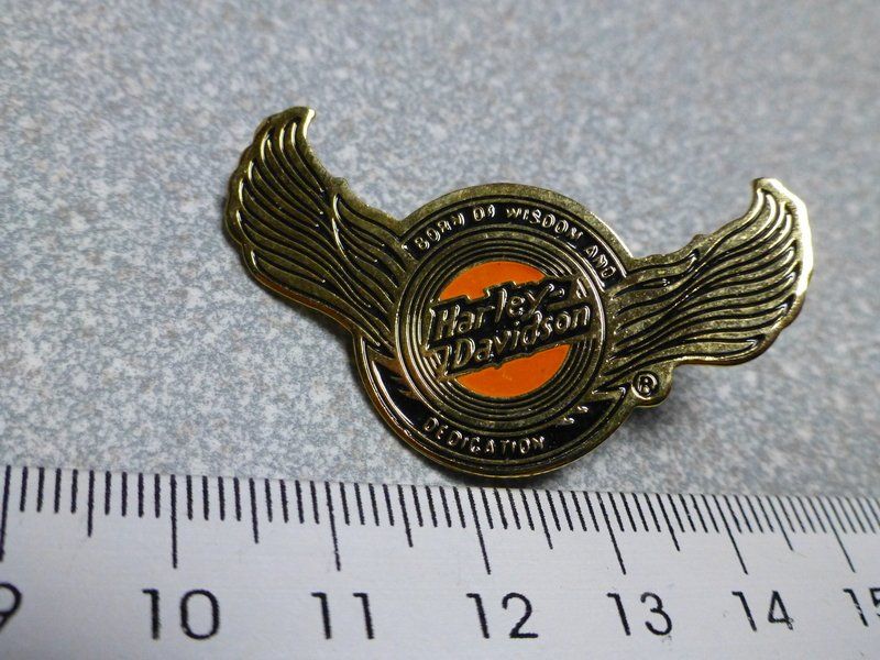 Placchette & Badge: PIN PINS HARLEY DAVIDSON HOG ABZEICHEN CHAPTER BADGE – Usato da Gränichen venduto da Jumbo77