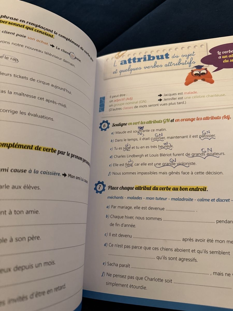 Libri: Je progresse en français 7eme harmos – Usato da Le Landeron venduto da Seraphine3 7
