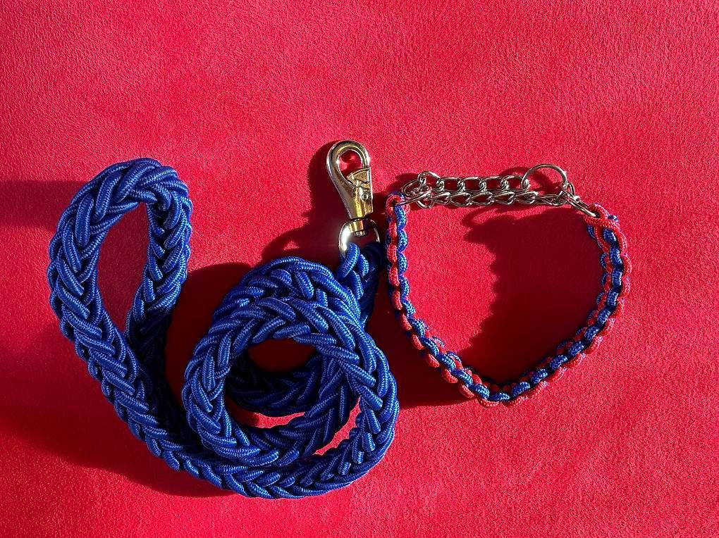 Leine & Halsband: Guinzaglio cane – Gebraucht aus Maroggia von Luca_Ferrario