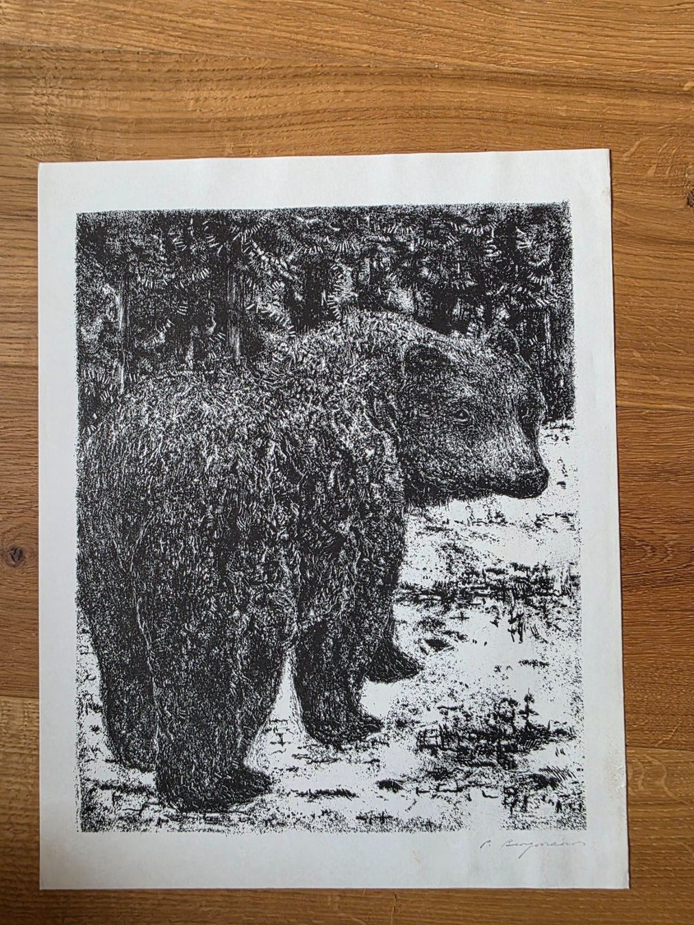 Grafica & Litografie: Lithografie Bild Bär - P. Bergmann handsigniert – Usato da Walterswil BE venduto da Lonitti