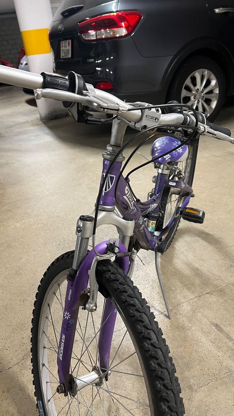 Velos: Mädchen Velo – Gebraucht aus Trachslau von ochronny 3