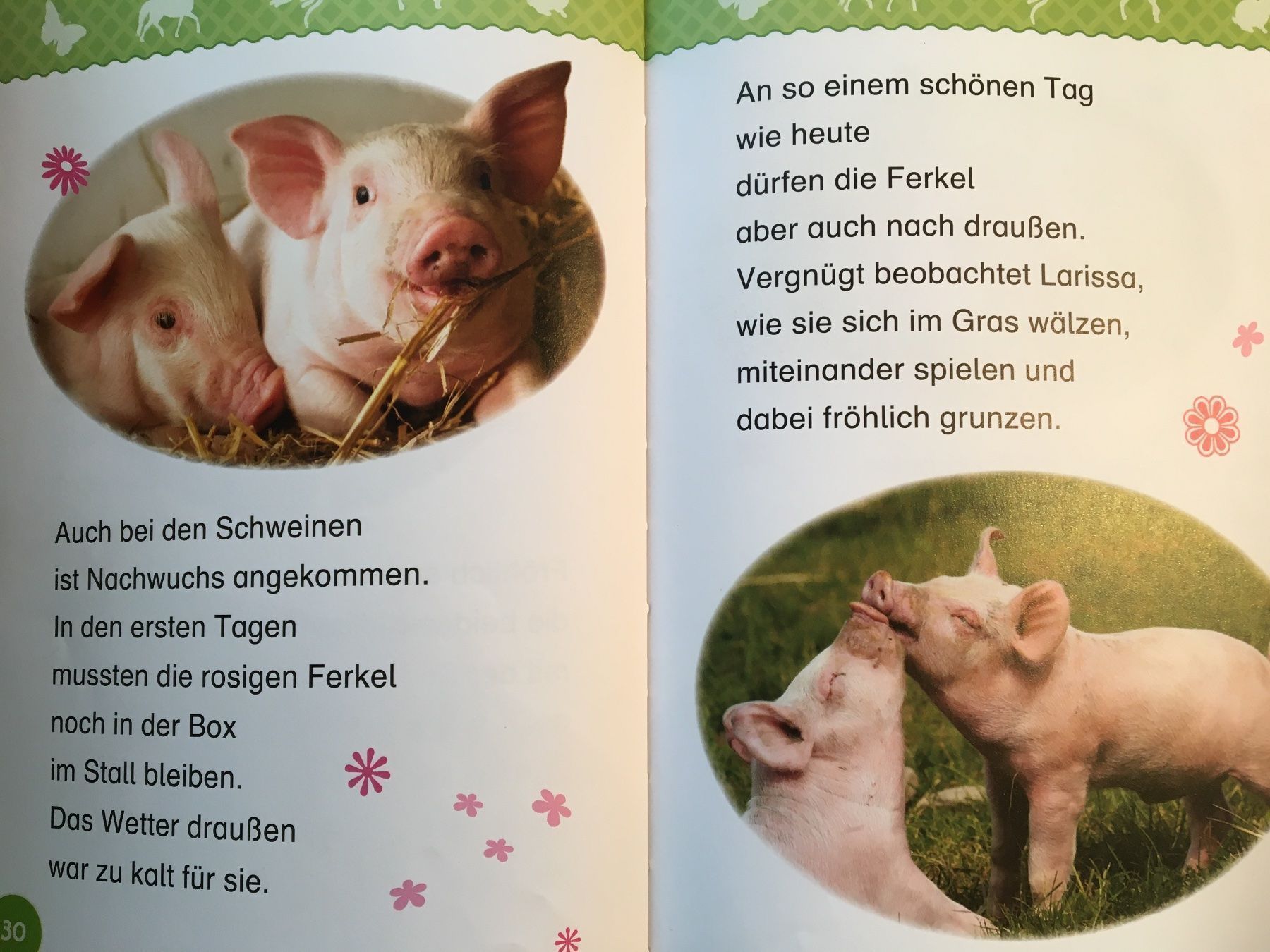 Libri: Abenteuer Tiere – Usato da Arth venduto da Vrecam51 1