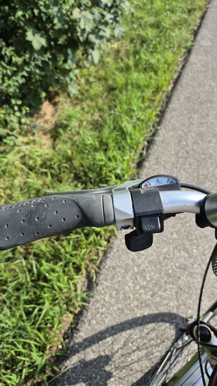 Villiger Biciclette: Villiger Damenfahrrad – Usato da Wila venduto da Mami123 6