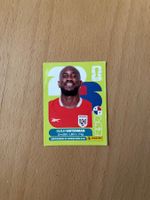 Panini Sticker