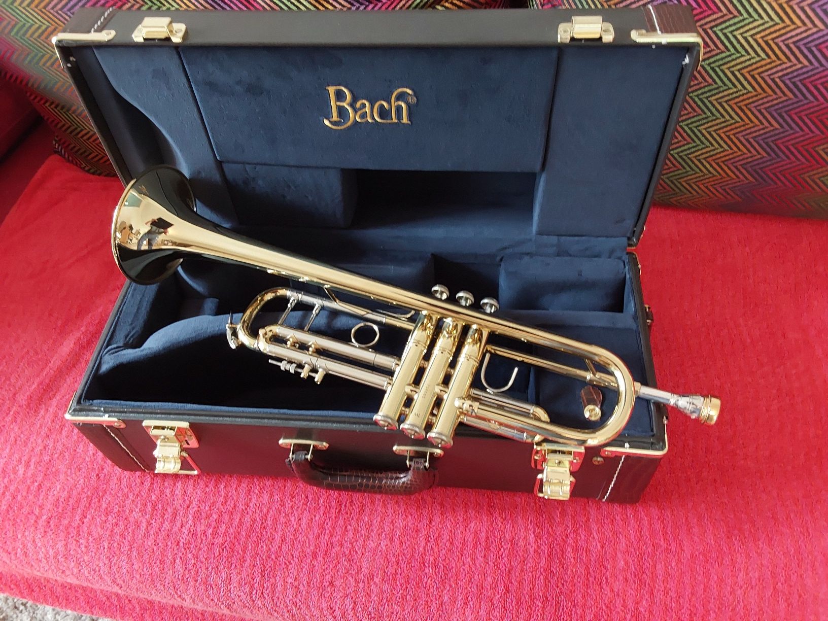 Strumenti musicali: Trompete Bach Stradivarius – Nuovo (secondo la descrizione) da Reinach AG venduto da son_6trr