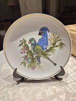 Assiette décorative vintage - Motif oiseaux exotiques🦜