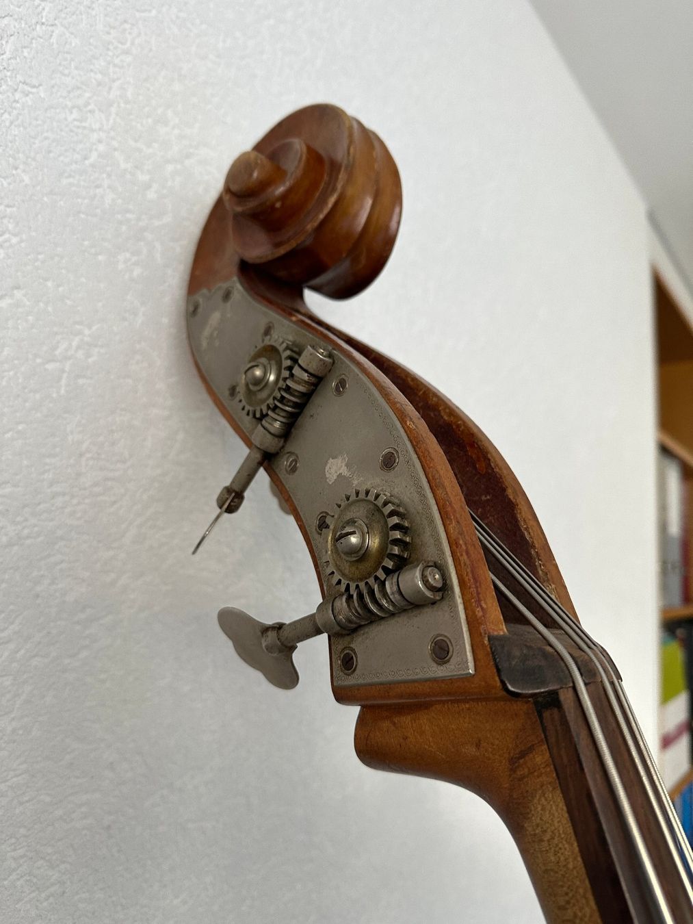 Framus Strumenti musicali: Contrebasse Framus 3/4 – Usato da Sion venduto da Floop 4