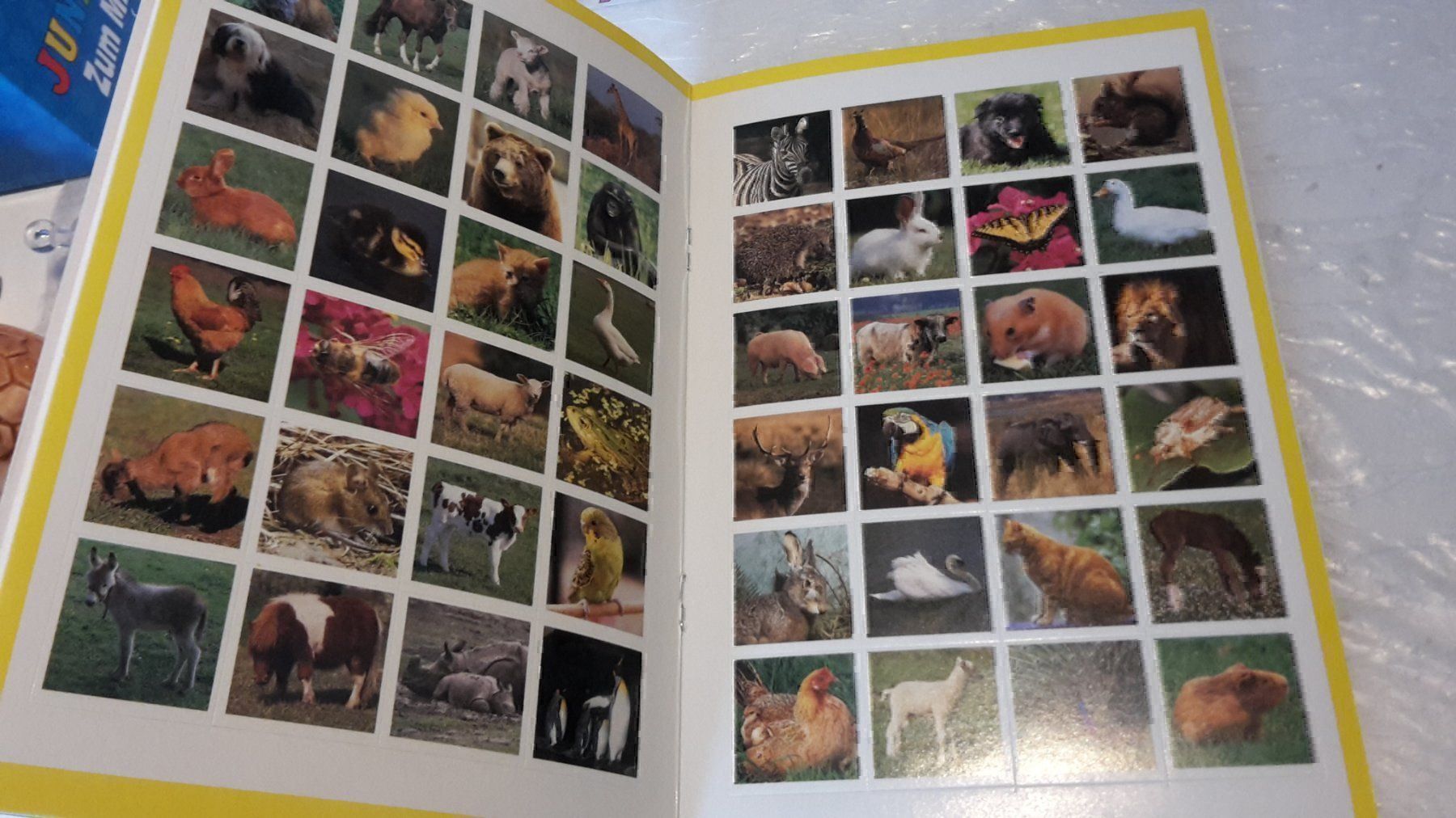 Tutti i DVDs: Ich lerne Tiere erkenen – Usato da Schwarzenburg venduto da Flamingo07 2