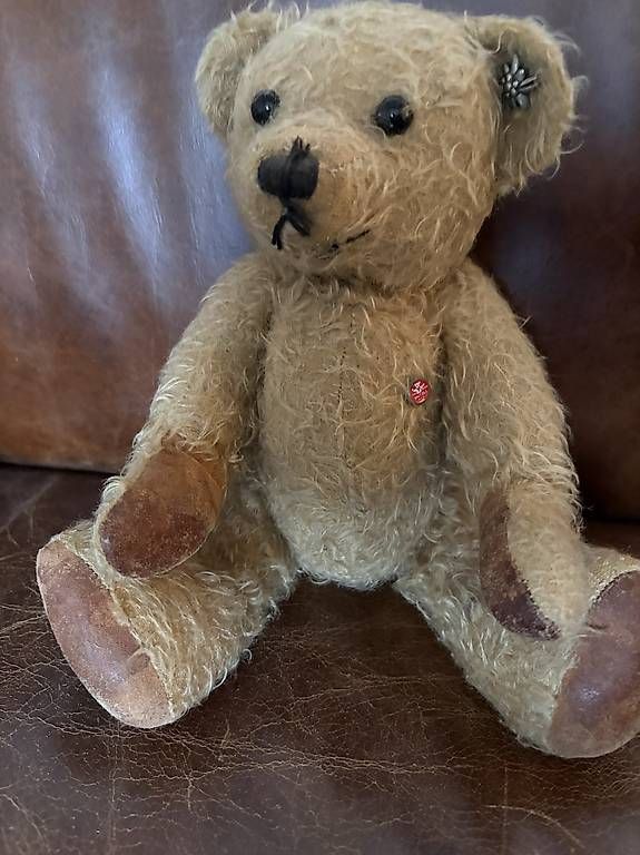 Giocattoli: Teddybär Mutzli Mohair – Usato da Basel venduto da sin_5npn