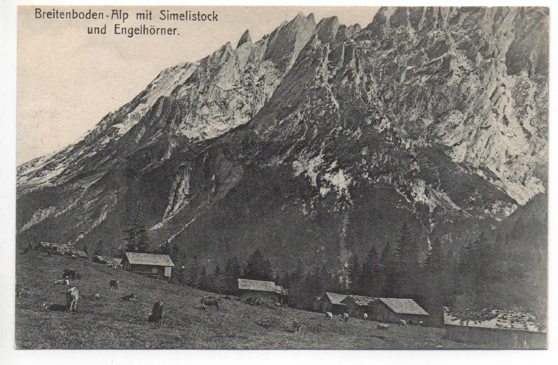 Cartoline postali: OBERHASLI Breitenboden-Alp mit Simelistock - Kühe – Nuovo (secondo la descrizione) da Jona venduto da philajona