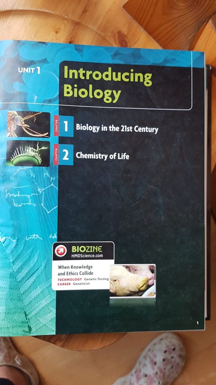 Libri: Biology - Holt Mc Dougal Stephen Nowicki – Usato da Spiegel b. Bern venduto da ale_x59l 2