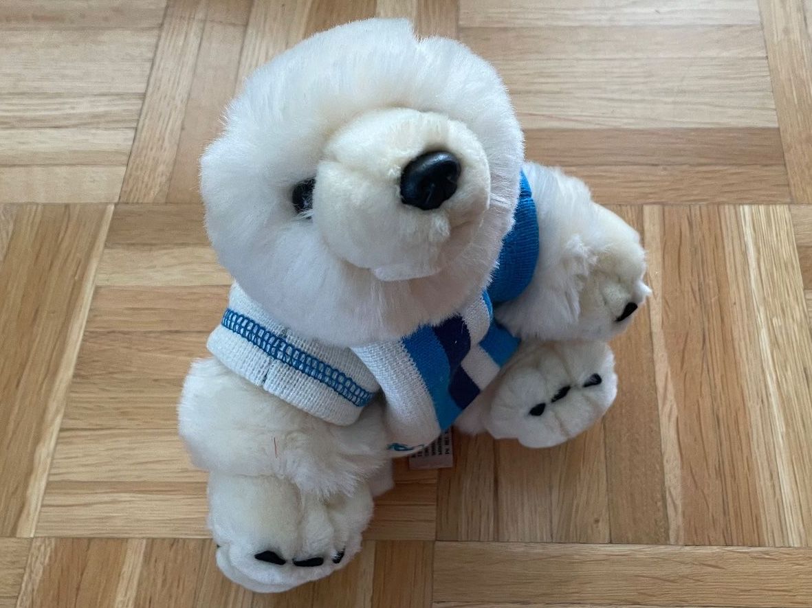 Steiff Giocattoli: Eisbär Bär – Nuovo e nell'imballaggio originale da Rüfenacht BE venduto da lavok