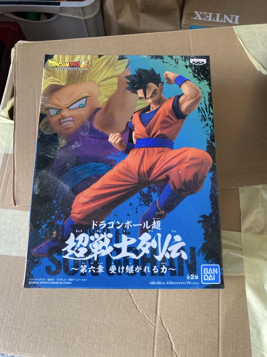 Figuren: Dragon Ball Super - Super Warrior – Neu und originalverpackt aus Niederuzwil von Miami1999 1