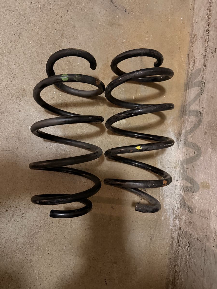 Welt der Tiere: Vw Passat B6 Federnsatz Vorderachse – Gebraucht aus Basel von Nikola004