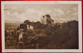 Burg Wildegg von Süden 1920