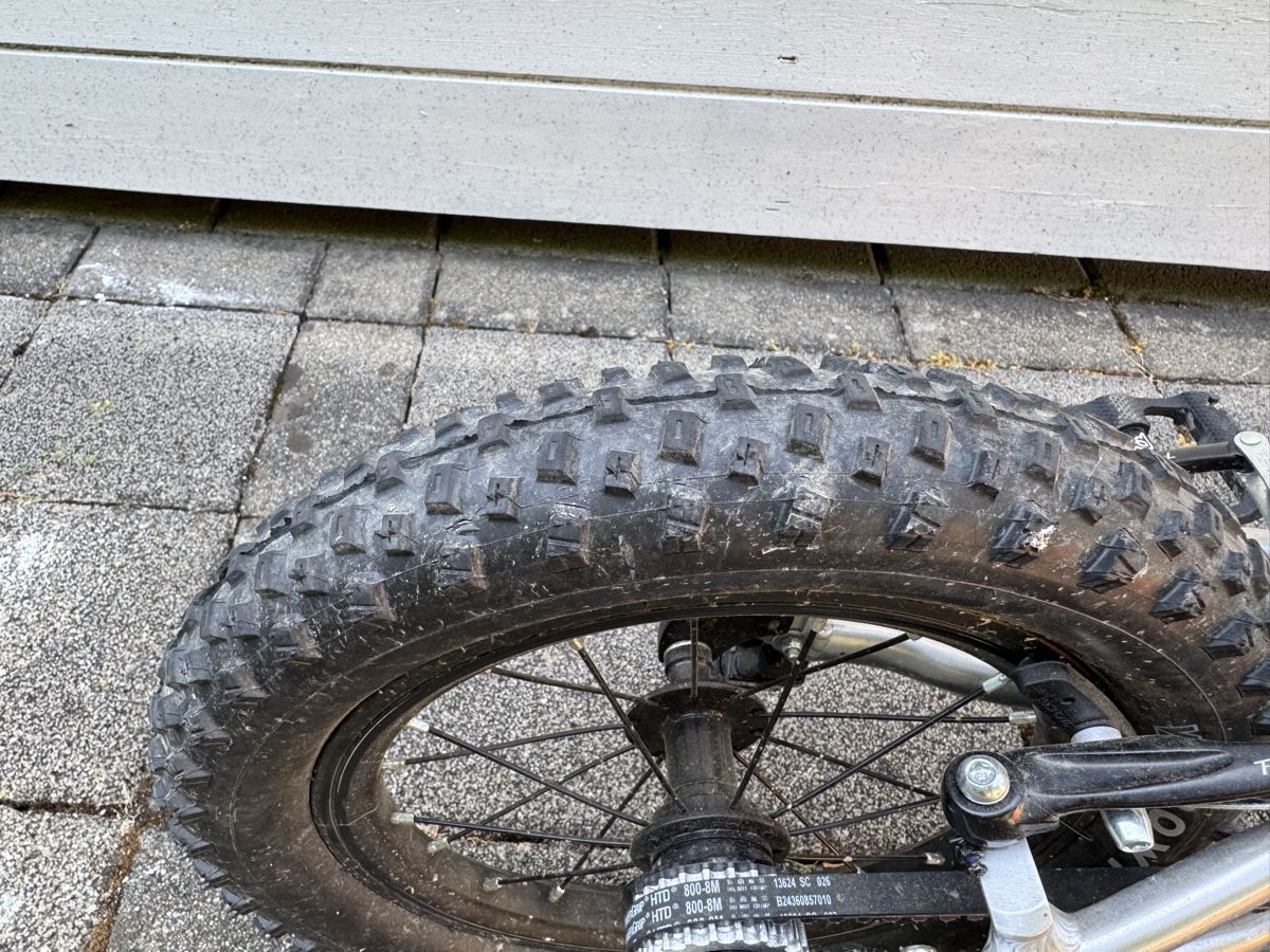 Early Rider Biciclette: Early Rider Seeker 14 – Usato da Therwil venduto da Rob_85 3