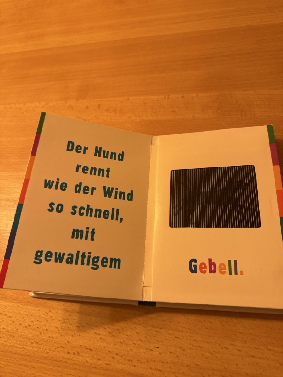 Bücher: GALOPP Ein Scanimation Buch – Gebraucht aus Birmensdorf ZH von DinoC13 2