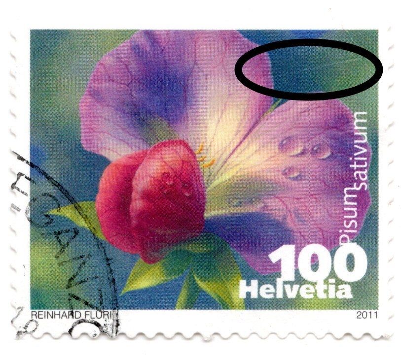 Tutti i francobolli: 08c CH 2011 Legumi in fiore/ Dif. – Usato da BREGANZONA venduto da adelio8