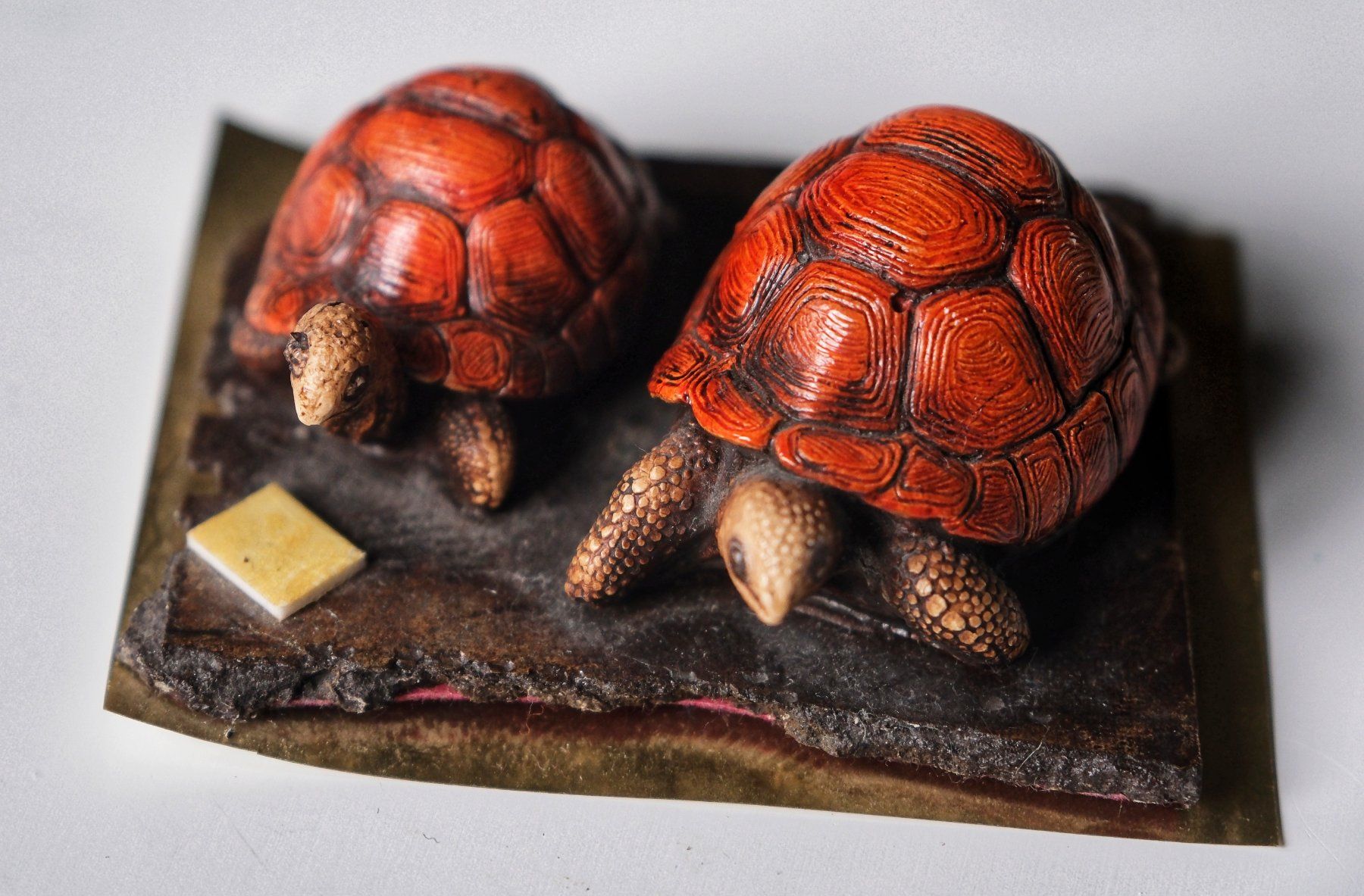 Figuren: Schildkröten Figuren/Sammlung – Gebraucht aus Wohlen AG von  7